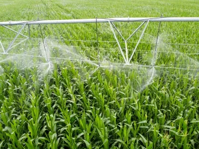 Agriculture